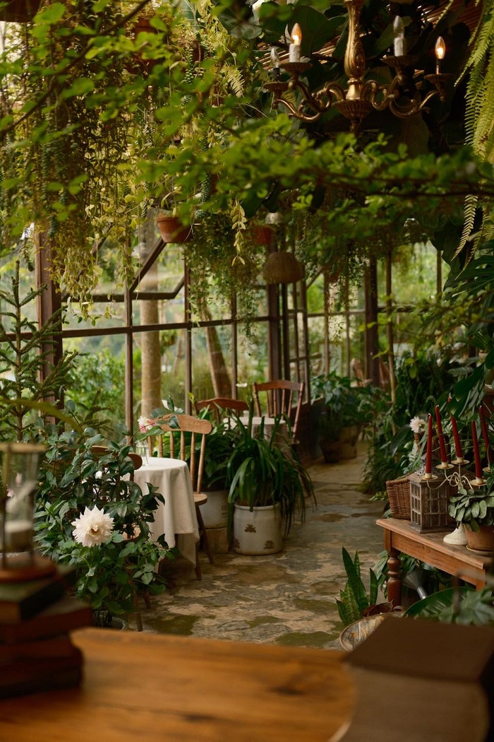 Khu vườn mùa hè là quán cà phê rừng nhiệt đới mà bạn nên ghé thăm