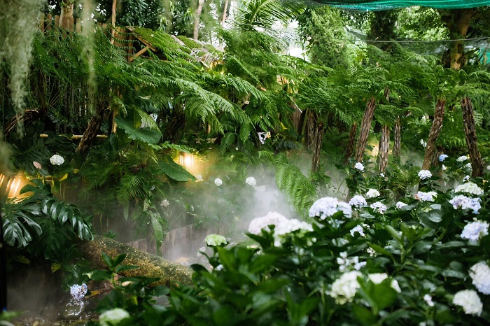 Tiệm cà phê Nọong Ơi là quán cà phê rừng nhiệt đới trong lành mướt mát