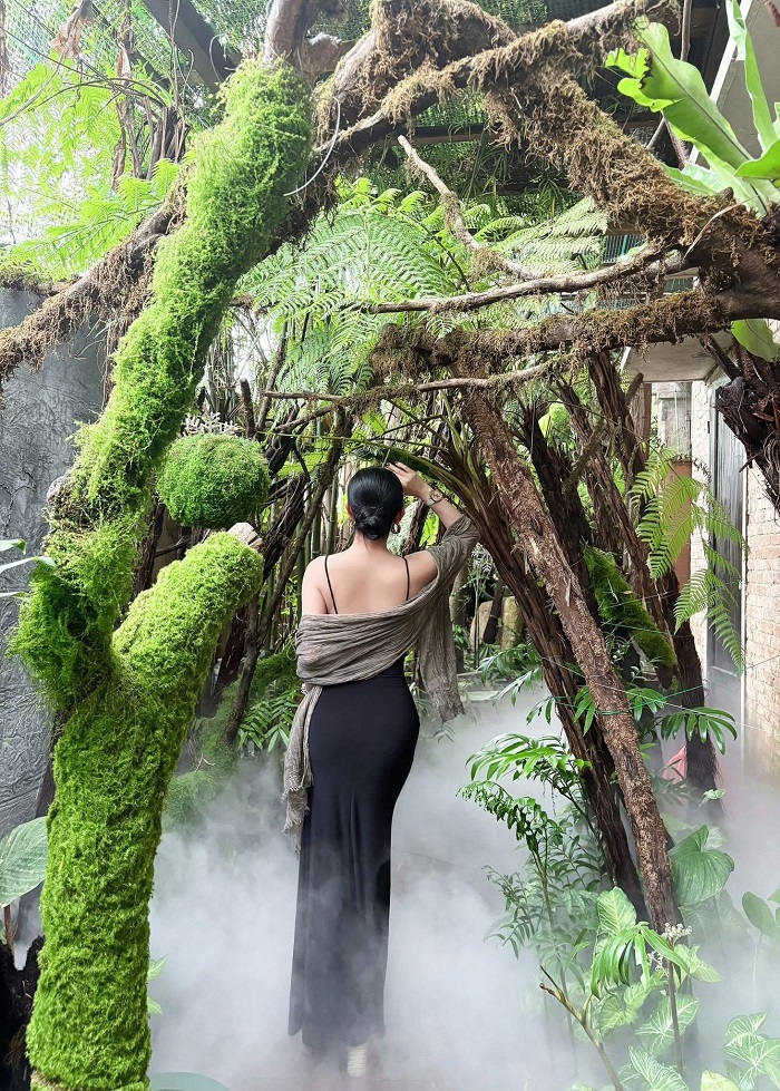 Củi Coffee là quán cà phê rừng nhiệt đới nằm giữa lòng thành phố Huế