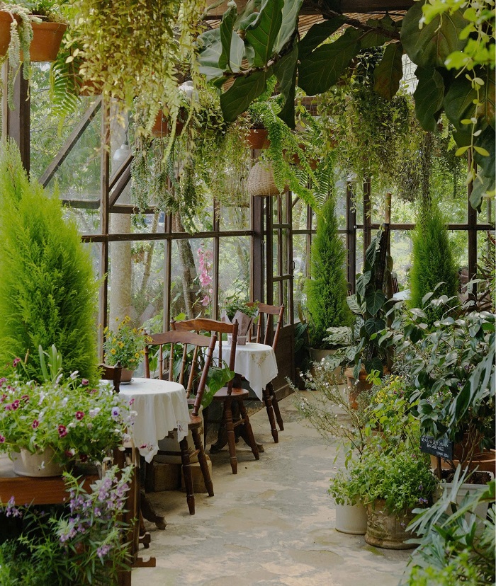 Khu vườn mùa hè là quán cà phê rừng nhiệt đới có rất nhiều loại cây