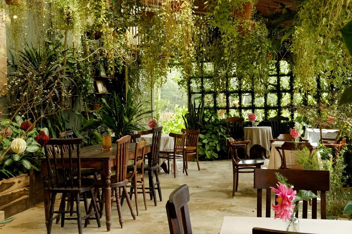 Khu vườn mùa hè là quán cà phê rừng nhiệt đới ngồi góc nào cũng chill