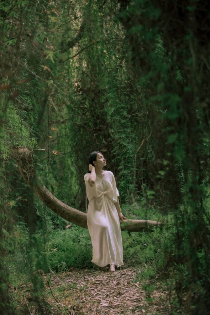 rừng tràm Cam Lâm khung cảnh