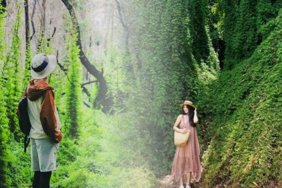 Đến rừng tràm Cam Lâm 'chill' cùng thiên nhiên với những khung hình cổ tích