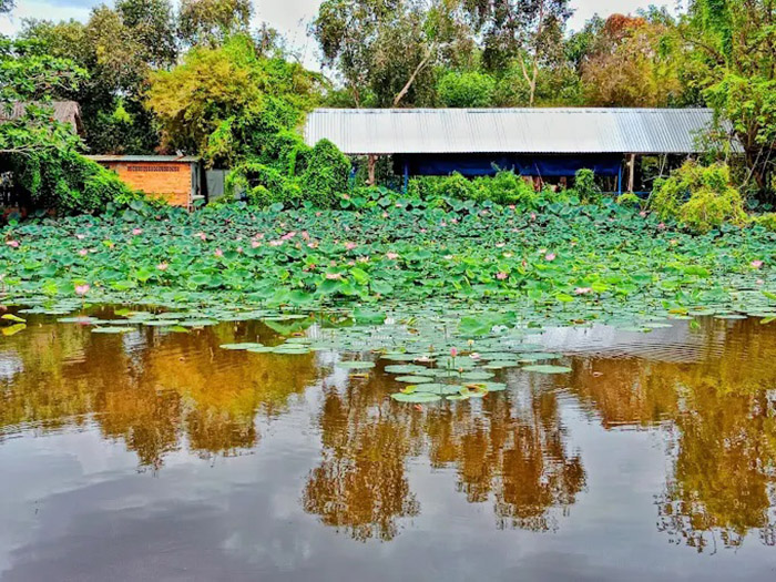 Khám phá Vườn chim Cà Mau - Vùng đất bình yên