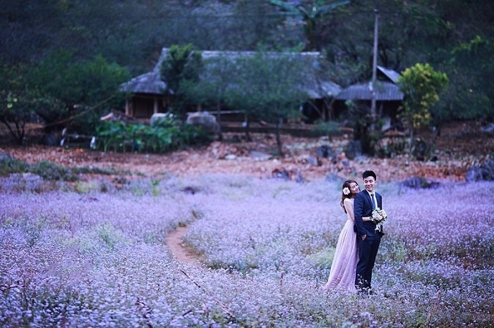 Địa điểm chụp ảnh cưới ngoại cảnh ở Việt Nam cực 'xịn xò' cho các cặp