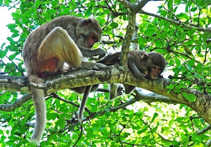 Explore Phu Quoc National Park