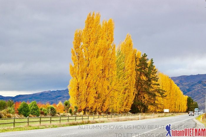 Du lịch New Zealand mùa nào đẹp?
