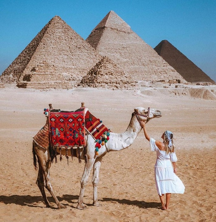 Đến Ai Cập để biết thế giới  Hànộimới