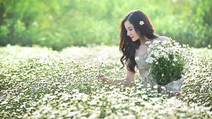 Winter Return, Falling In Love Season Chrysanthemum Ha Noi!
