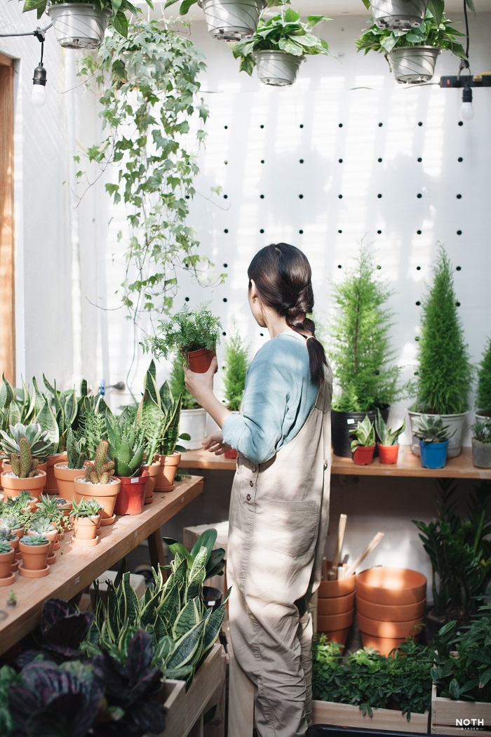 quán cafe sống xanh tại hà nội