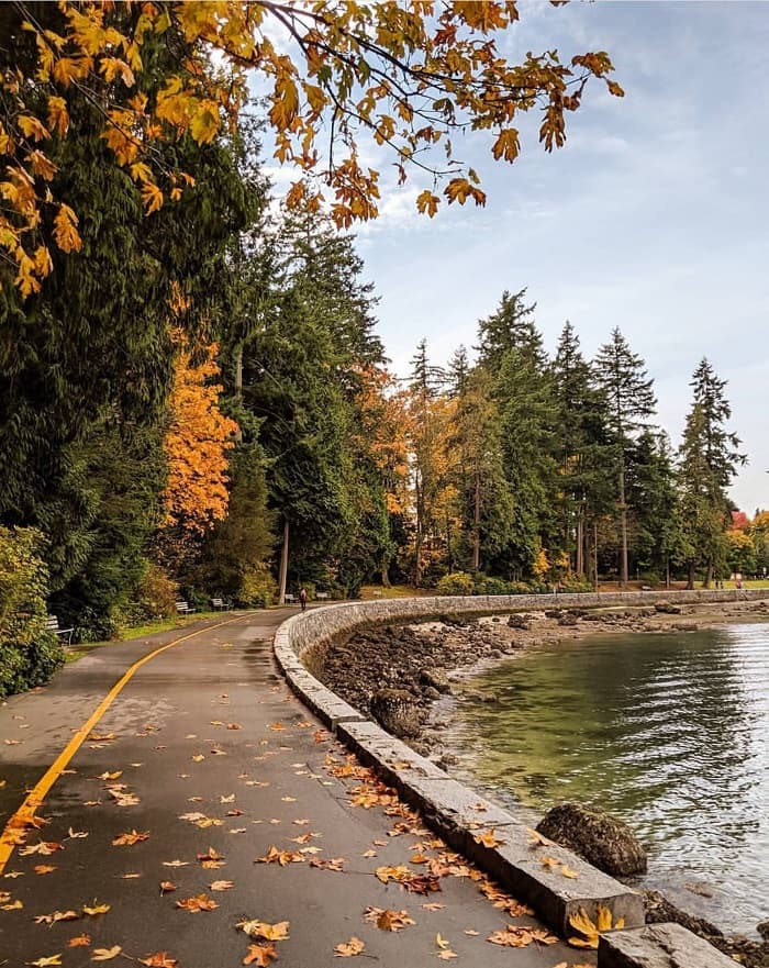 Top 6 địa điểm du lịch hàng đầu ở Vancouver Canada