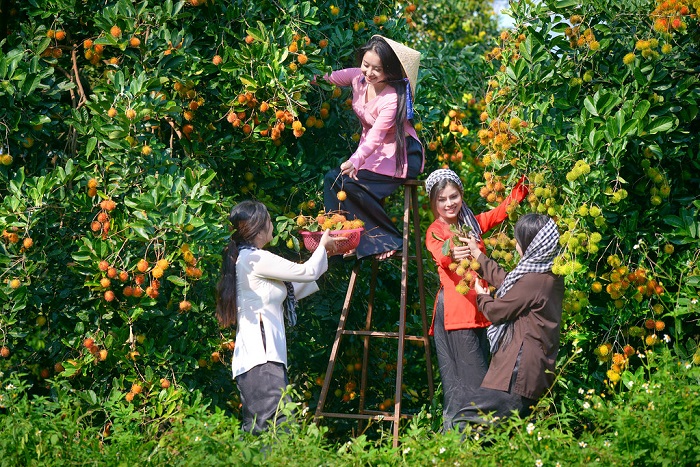 Mùa Du Lịch Vườn Trái Cây Long Khánh