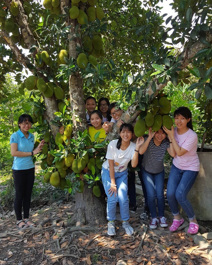 I do not want to go back to Trung An Cu Chi fruit garden