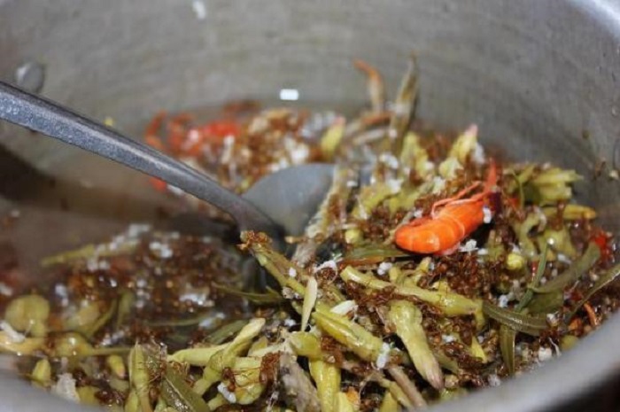 Cách nấu canh chua kiến vàng Đắk Nông