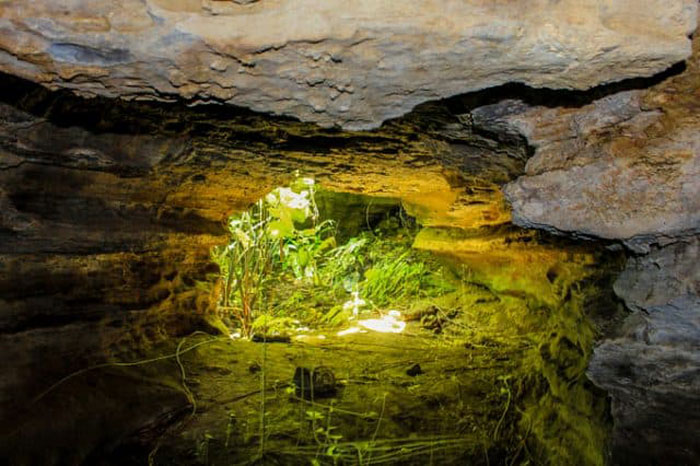 Explore Tien An Quang Nam Bat Cave - Inside Nang Ti cave