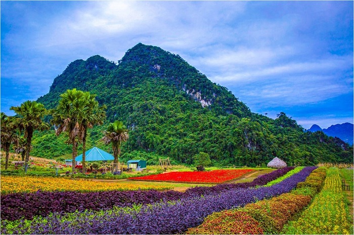 Green Plains Khai Trung Yen Bai