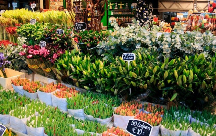 Chợ hoa Bloemenmarkt Hà Lan- chiêm ngưỡng những loại hoa đẹp khoe sắc
