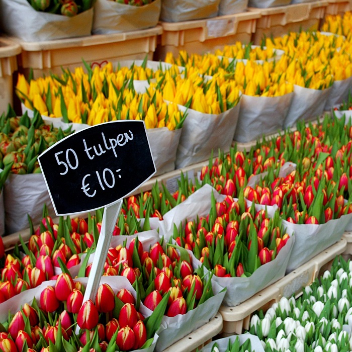 Chợ hoa Bloemenmarkt Hà Lan- thiên đường của các loại hoa