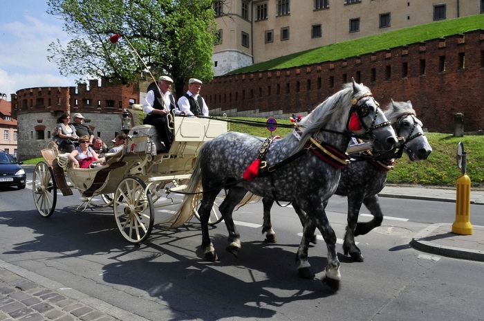 Dạo chơi quanh lâu đài cổ Wawel Ba Lan bằng xe ngựa 