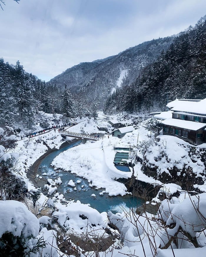 du lịch Nhật Bản tháng 1 - tham quan công viên khỉ bao phủ tuyết