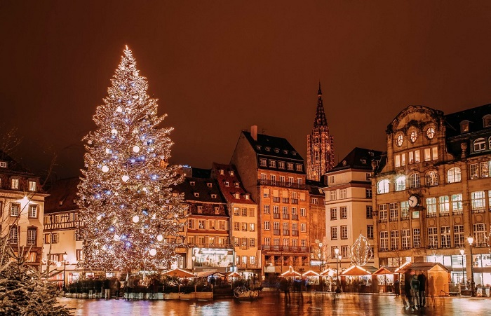 Cây thông Noel cao 30 m - giáng sinh ở Strasbourg