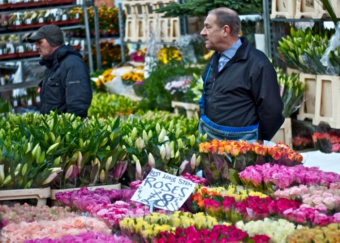 Khu chợ trời ở London - chợ hoa Columbia Road