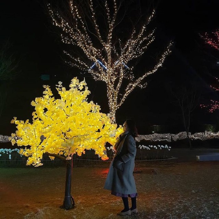lễ hội mùa đông Hàn Quốc - khung cảnh rực rỡ lễ hội Boseong