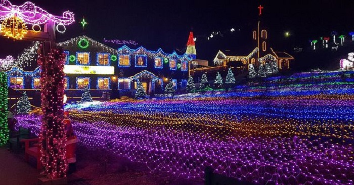 lễ hội mùa đông Hàn Quốc - lễ hội ánh sáng đảo Herb