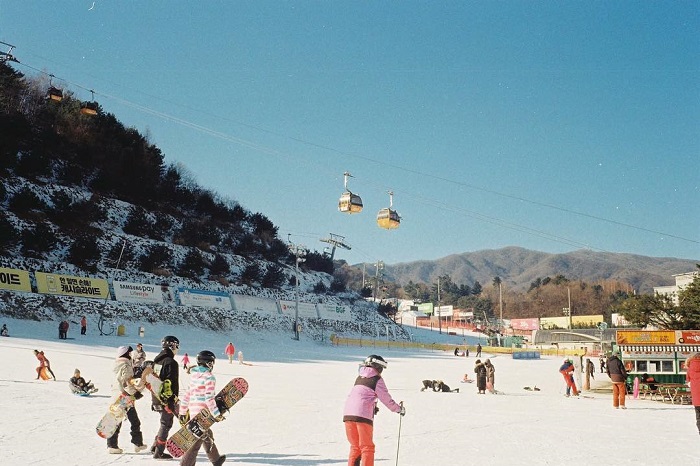 lễ hội mùa đông Hàn Quốc sôi động trên tuyết