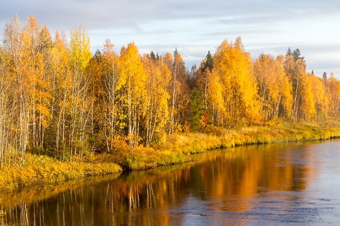 Du lịch Phần Lan thời điểm nào lý tưởng? - mùa thu 