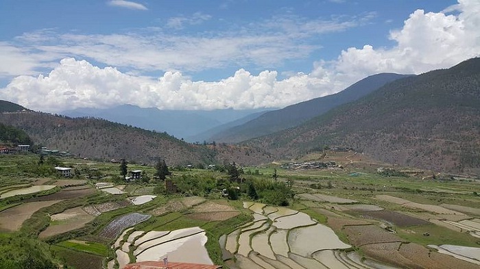 vùng núi - nơi trồng gạo đỏ Bhutan