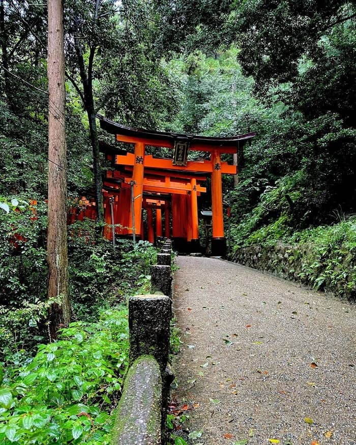 tham quan đền Fushimi Inari - cổng Torii
