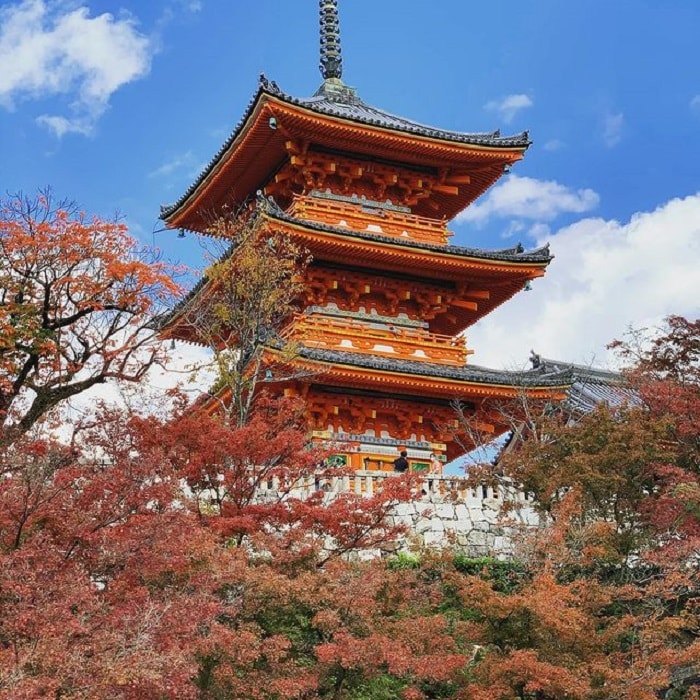tham quan đền Fushimi Inari - ngắm cảnh đẹp