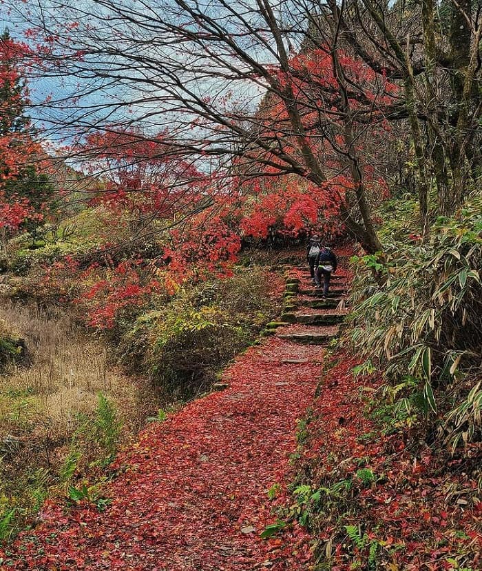 tham quan ngôi làng Tsumago - đi bộ leo núi