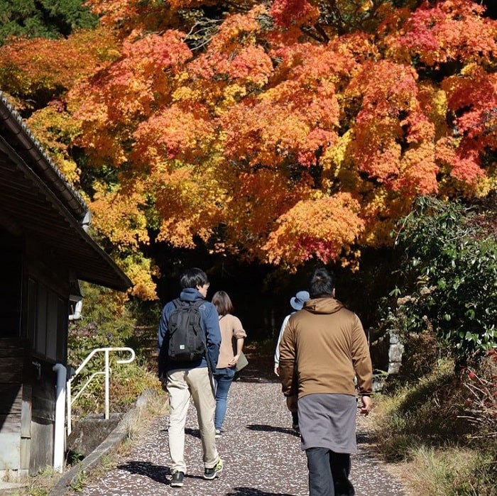 tham quan ngôi làng Tsumago - đi bộ ngắm cảnh