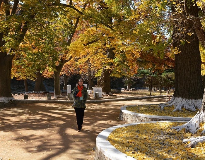 mùa thu - thời điểm lý tưởng để du lịch thành phố Haeju 