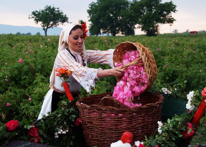 Thung lũng Kazanlak - lễ hội được tổ chức vào tháng 6
