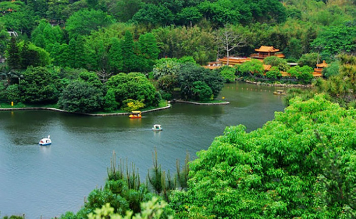10 địa điểm du lịch Thẩm Quyến - Vườn bách thảo Hồ Tiên