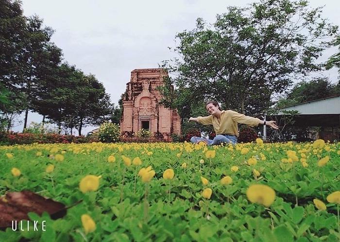 Brilliant flower garden - the attraction of Chop Mat Tay Ninh tower