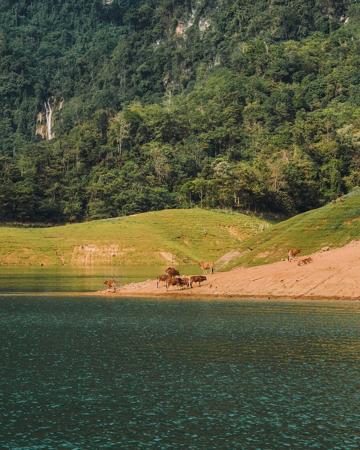 Na Hang Lake is one of the beautiful terrestrial Ha Long Bays in Vietnam
