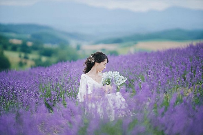 Cánh đồng hoa oải hương đẹp: Với cánh đồng hoa oải hương đẹp, những hàng hoa màu tím đậm bao phủ những đồng cỏ xanh tươi là một trải nghiệm thú vị cho cả người trong và ngoài nước.