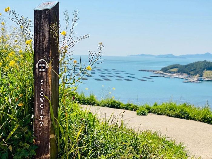 Chơi gì trên đảo Cheongsando Hàn Quốc