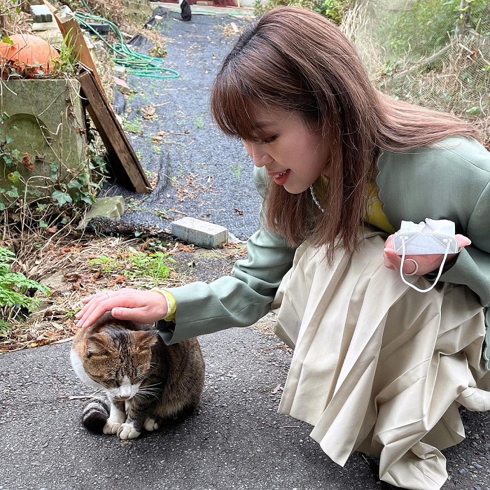 Khám phá đảo mèo Tashirojima Nhật Bản 