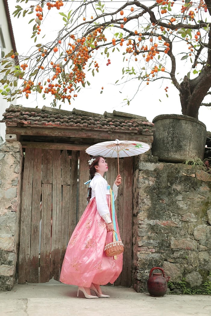 Điểm sống ảo mới nổi ở Ninh Bình gọi tên cây hồng trăm tuổi đẹp tựa Hàn Quốc!