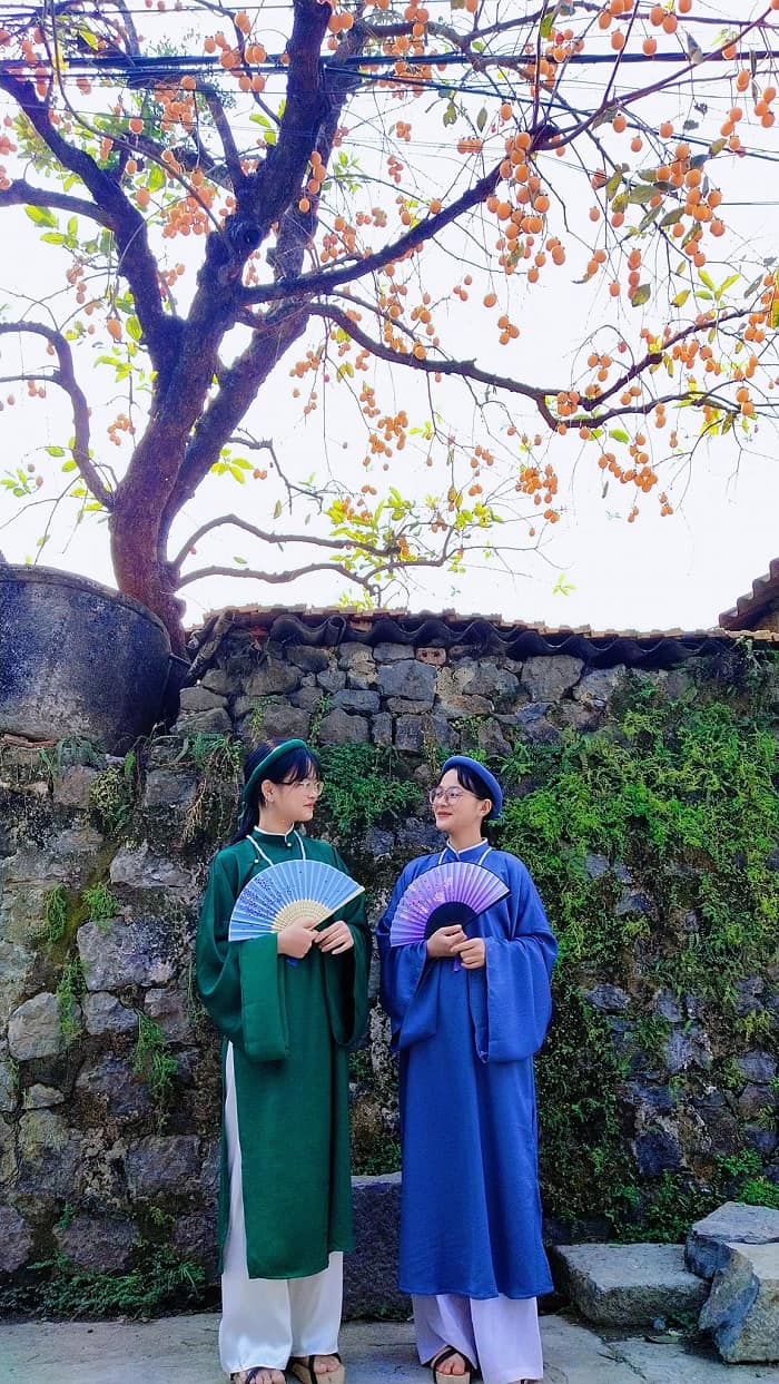 Điểm sống ảo mới nổi ở Ninh Bình gọi tên cây hồng trăm tuổi đẹp tựa Hàn Quốc!