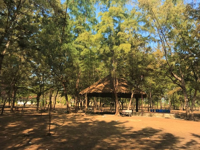 Paradise Vung Tau campsite - camping space