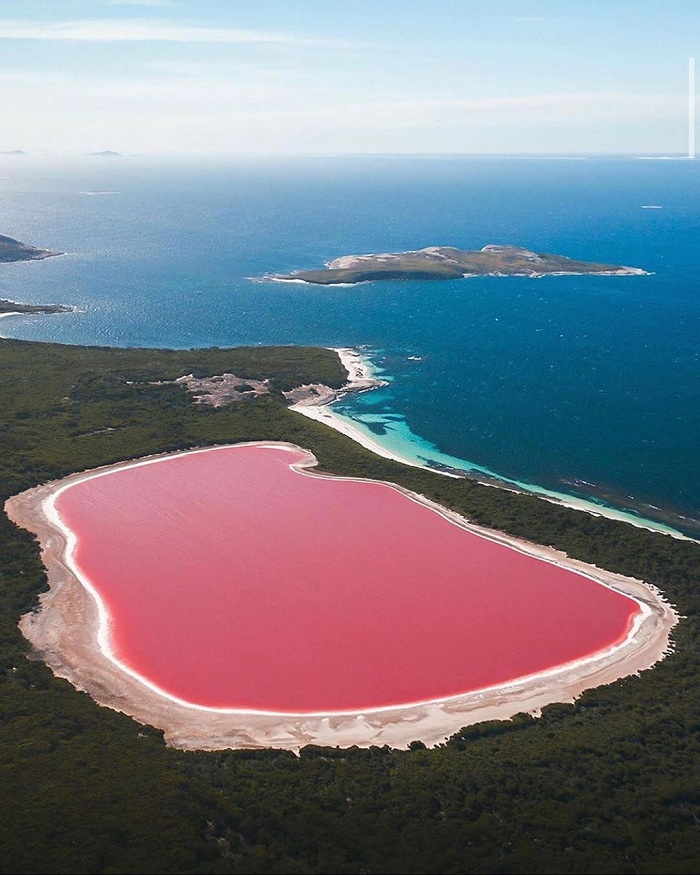 Hillier là một trong những hồ nước màu hồng nổi tiếng