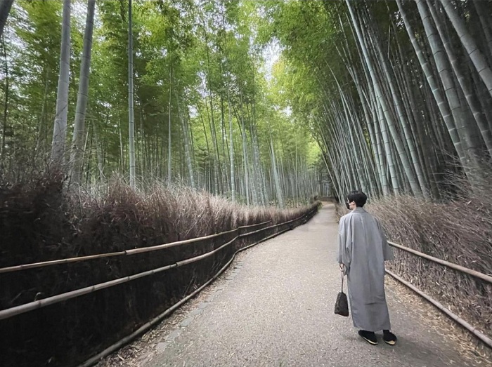 Arashiyama là rừng trúc đẹp trên thế giới
