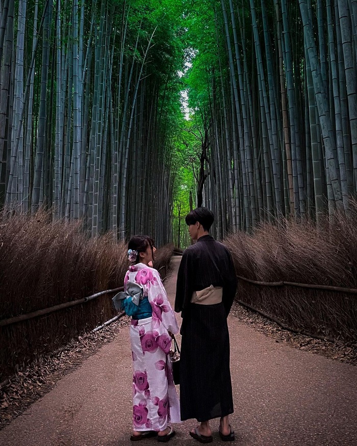 Arashiyama là rừng trúc đẹp trên thế giới
