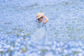 Công viên Hitachi Kaihin Nhật Bản – ‘thiên đường hoa’ tuyệt đẹp cho những trái tim mơ mộng, thích chụp ảnh